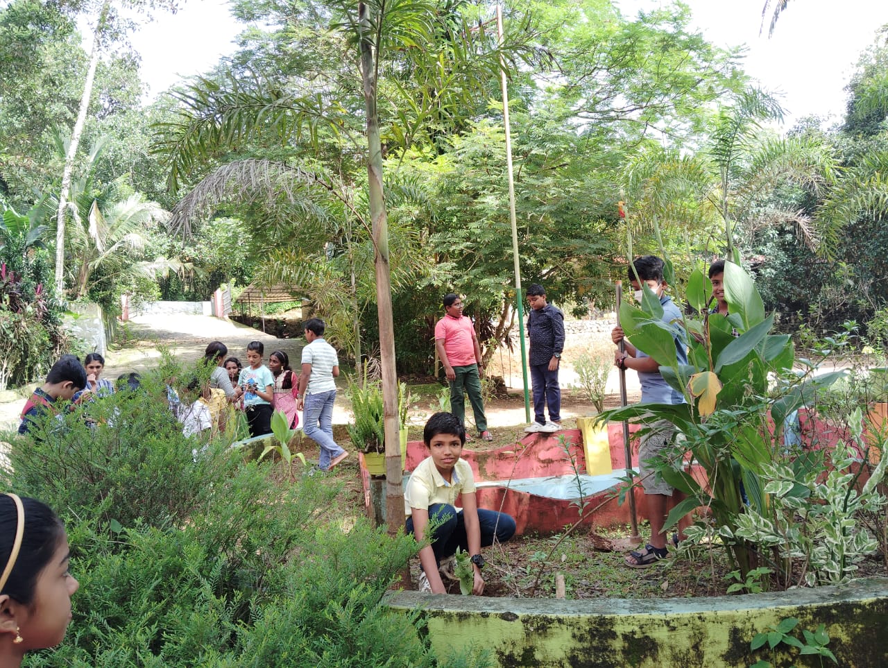 Environment day celebration